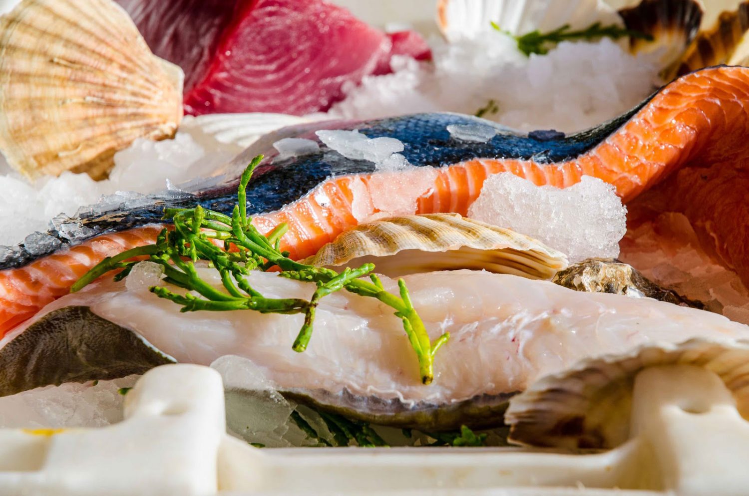 Lachs-bremer-fischfeinkost-koeln